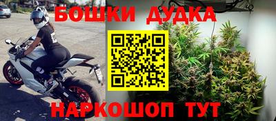 сатива Балаково