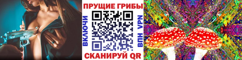 Галлюциногенные грибы Psilocybine cubensis  Касимов 