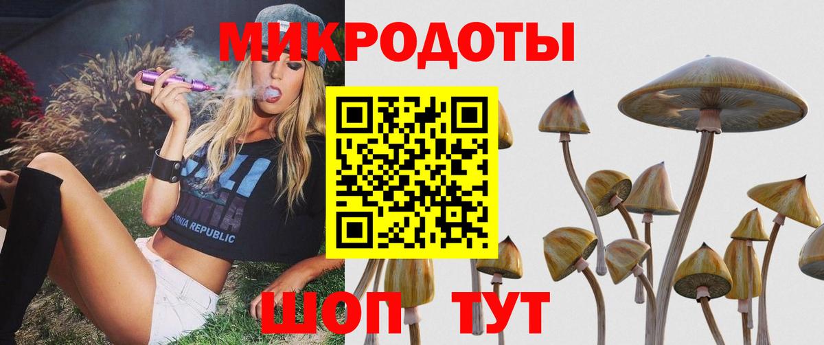 Галлюциногенные грибы мицелий  Вход с VPN  Галлюциногенные грибы Cubensis  где купить наркоту  Касимов 