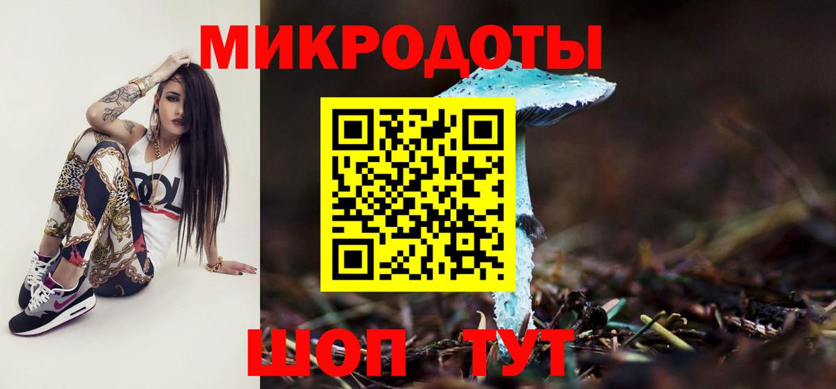 Псилоцибиновые грибы Cubensis Касимов